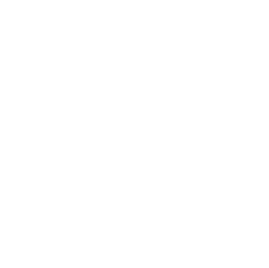 adi logo white